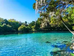 奥兰多魔术内部会议纪要流出——赛后手感冰凉；社区盾使命明确；临场指挥获称赞的简单介绍